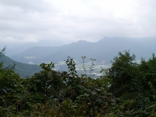 P1430328.jpg