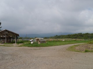 P1430532.jpg