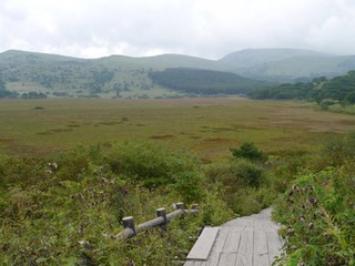 P1430675.jpg
