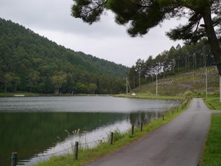 P1430791.jpg