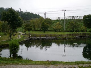 P1440010.jpg