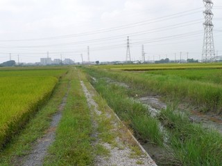 P1440190.jpg