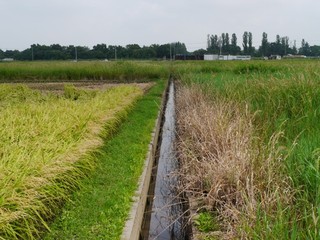 P1440200.jpg
