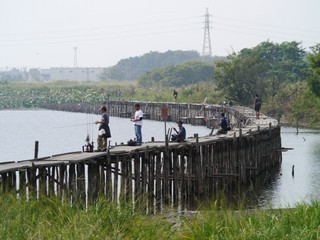 P1460071.jpg