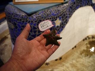 P1490250.jpg