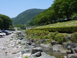 P1860717.jpg
