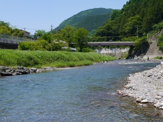 P1860736.jpg