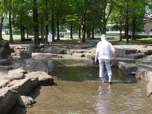 P1120117.jpg